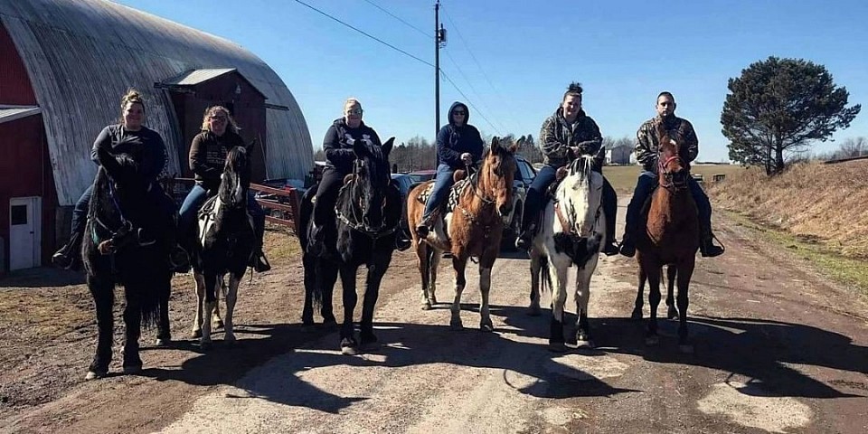 We offer a variety of ranch, trail and family horses.