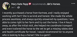 Horse