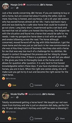 Horse