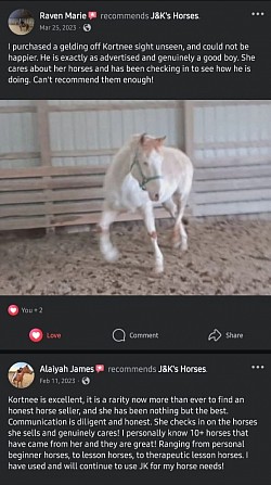 Horse