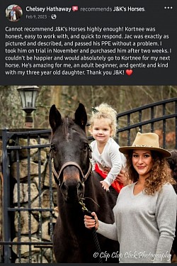 Horse