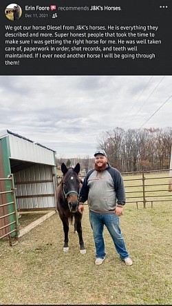 Horse