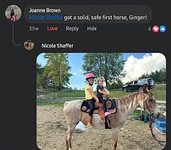Horse