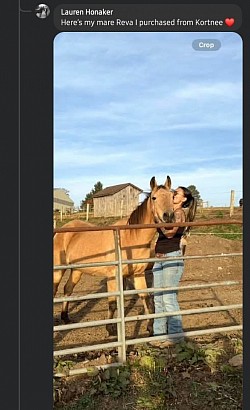 Horse