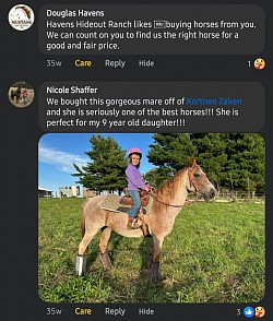 Horse