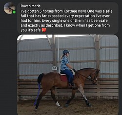 Horse