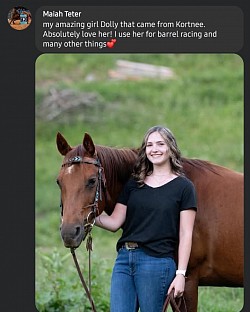 Horse