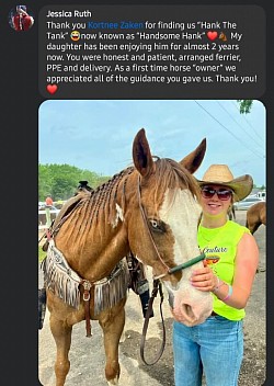 Horse