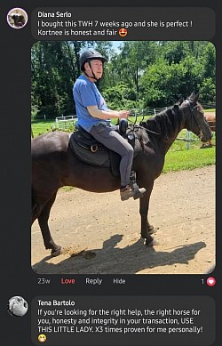 Horse