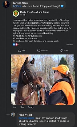 Horse