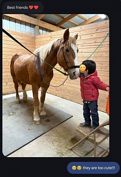Horse