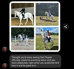 Horse