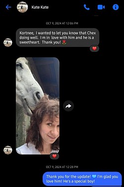 Horse