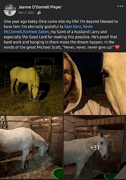 Horse