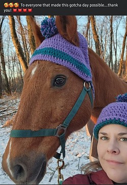 Horse