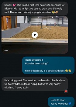 Horse