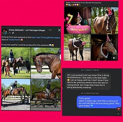 Horse